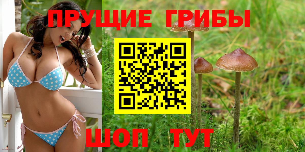 Галлюциногенные грибы прущие грибы Иваново